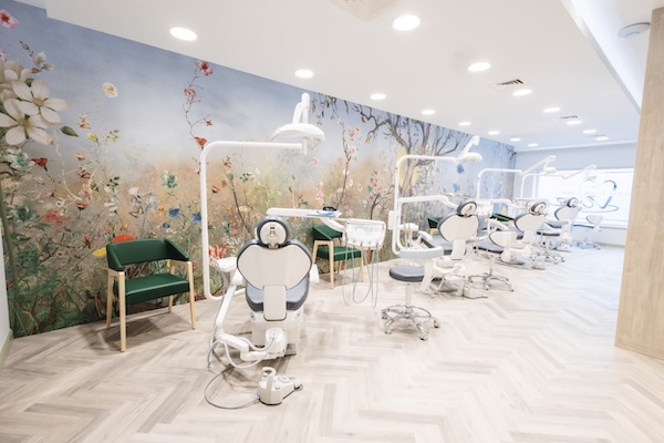 Dentists and Dental Services