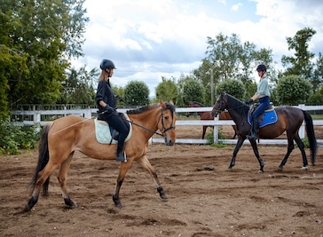 Docklands Equestrian Centre in East London